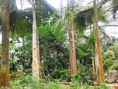 -南山植物园