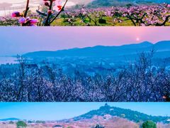 -西山风景区
