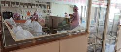 -国际月月生母婴月子中心(旗舰店)