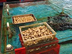 -大笑饭堂(甲子桥店)