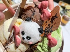 -阿露佳·舌尖上的安吉菜