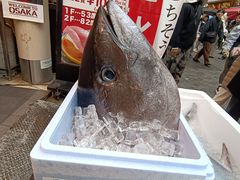 -大起水产回转寿司(道顿堀店)