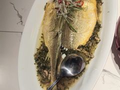 -顶特勒·黄鱼馆·特色菜(上海大世界店)