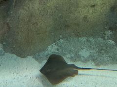 -珠海长隆海洋王国