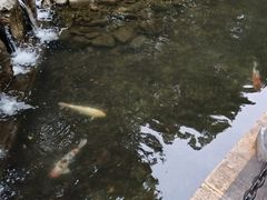-徐家汇公园
