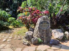 -中国科学院西双版纳热带植物园