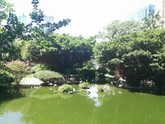 -九龙公园