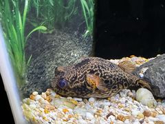 -上海海洋水族馆