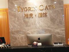 -袖虎·猫馆(体育西路店)