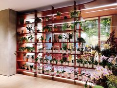 -二酉书店TOYOU BOOKS