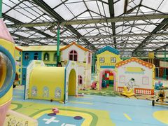 -南宫五洲植物乐园