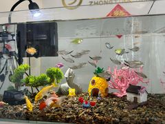 -中田·健身+普拉提(北京通州运河店)
