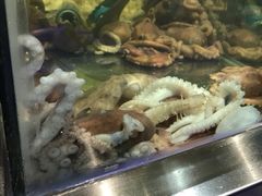 -V-ONE西雅图海鲜自助餐厅(仓山万达广场店)