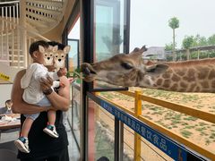 -西霞口神雕山野生动物世界