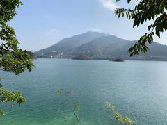 -广州市流溪河国家森林公园