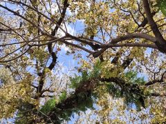 -双龙潭生态运动景区