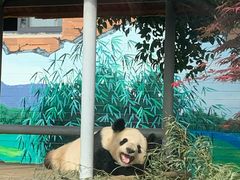 -苏州太湖国家湿地公园
