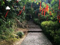 -桃花岛风景旅游区