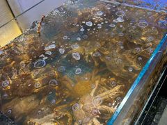 -一麦·龙岛(上海青浦店)