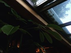 -VOYAGE COFFEE(北锣鼓巷店)