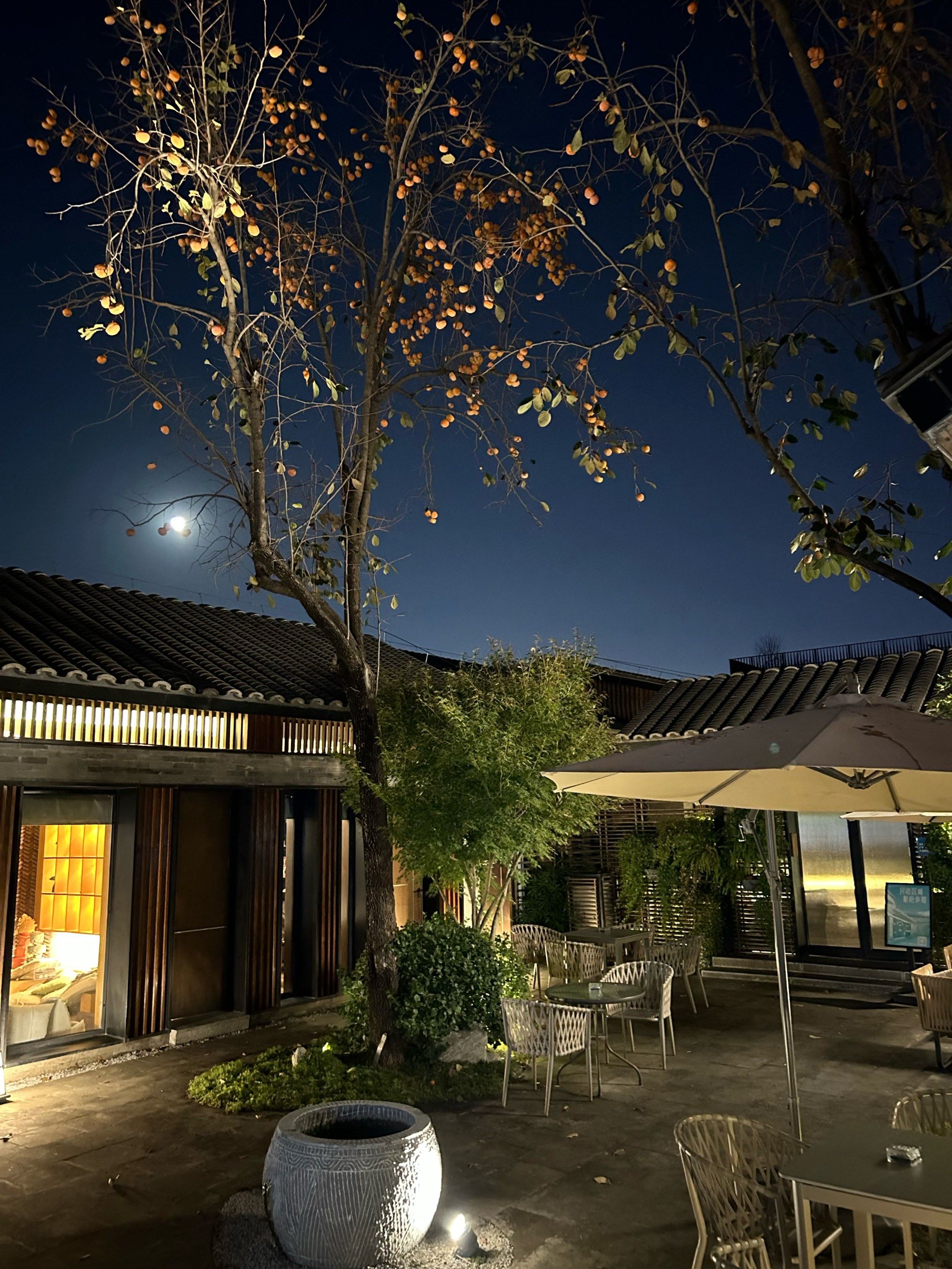 驼铃古道境199:秋夜月光下的四合院微醺