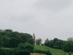 -成都保利公园皇冠假日酒店(熊猫基地店)