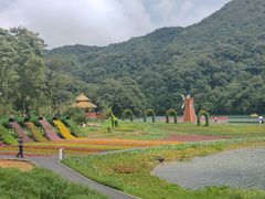 -广州市石门国家森林公园