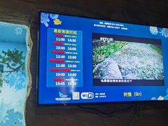 -合肥海洋世界