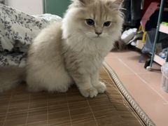 -博特宠物医院24h犬猫全科.骨科·异宠