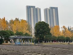 -月湖风景区