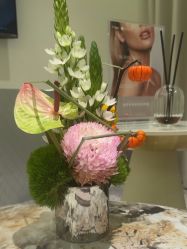 -明潪Selfology升维护理中心