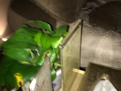 -华夏良子·足道SPA艾灸(三里屯店)