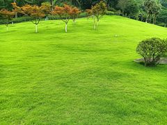 -龙头寺公园