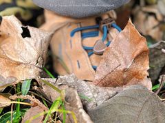 -南京市江宁方山