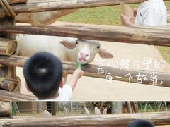 -福州罗源湾海洋世界旅游区