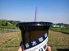 -龙坞茶村