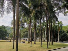 -深圳仙湖植物园