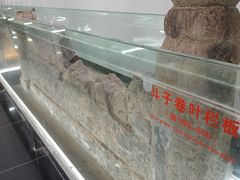 -赵州桥景区