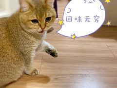 -星巴克(我格广场店)