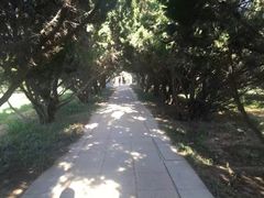 -洛阳古墓博物馆