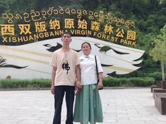 -西双版纳原始森林公园