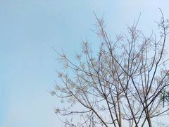 -白鹭湾湿地公园