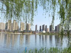 -洋湖国家湿地公园