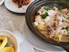 -金山记靓鸡专门店·中山菜