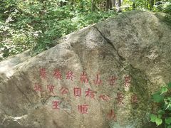 -王顺山国家森林公园
