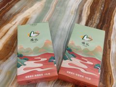 -椿记烧鹅(叠彩店)