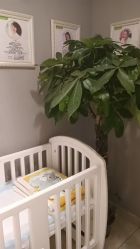 -Dr.林醫生产后修复·配方产康(南京江宁万达店)