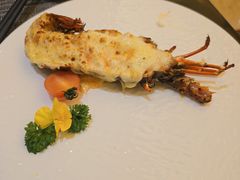 -百香自助餐厅·西安唐隆国际酒店(曲江店)