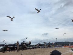 -辽宁团山国家级海洋公园