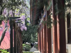 -北京市劳动人民文化宫(太庙)